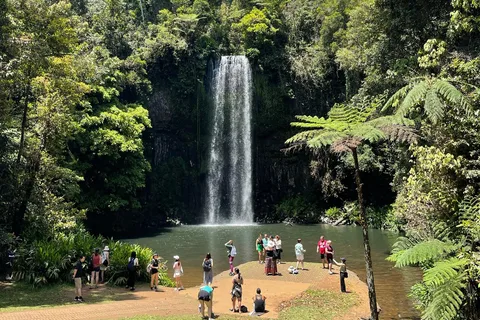 Cairns: Paronella, Lake Barrine & Millaa Millaa Falls Tour