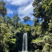 Cairns: Paronella, Lake Barrine & Millaa Millaa Falls Tour