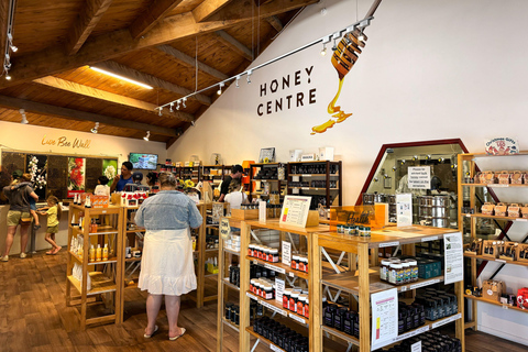 Auckland: Matakana Village, Omaha Beach, & Honey Tour