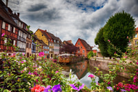 Frankfurt a Black Forest, Baden-Baden, Friburgo y en coche - Housity