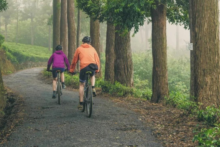 Kandy: Mountain Biking Tour around Knuckles