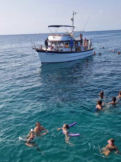 Da Umago: tour in barca a Savudrija con nuoto e delfini