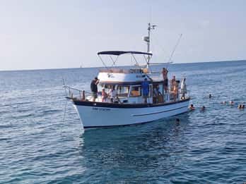 Von Umag: Bootstour nach Savudrija mit Schwimmen und Delfinen