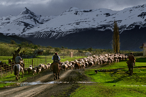 El Calafate: Estancia Nibepo Aike con Paseos a Caballo