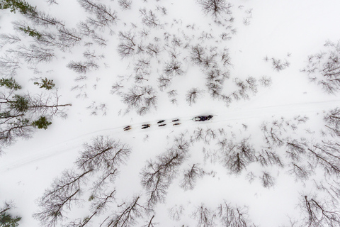 From Tromsø: Advanced Dog Sledding Tour at Camp TamokAdvanced Dog Sledding Tour: Daytime Departure