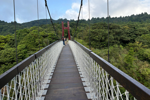 Taipei : visite à pied de Yanmingshan - prairie de Qingtiangang