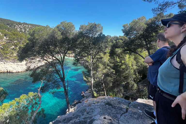 Cassis : Hiking Tour 2 Calanques with swimming
