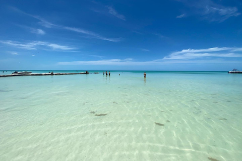 Holbox Plus+Cenote erkunden