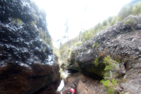 Madeira: Excursión Privada de Barranquismo