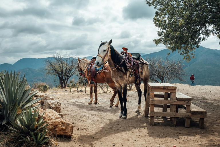Phoenix: Desert Horseback Ride with Lunch Phoenix: Desert Horseback Ride (1 Hour) with Lunch