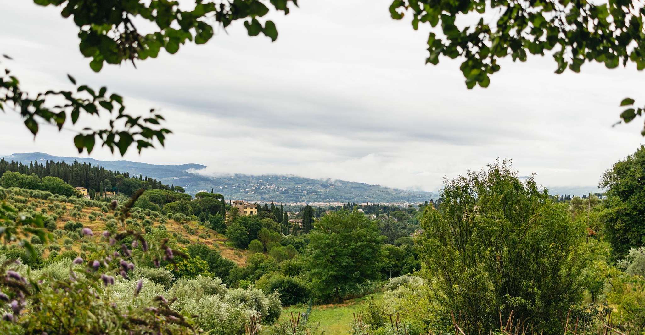 Florence: Countryside Vintage Fiat 500 Driving Tour photo 11