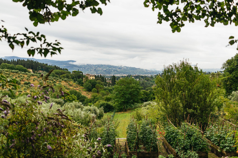 Florence: Countryside Vintage Fiat 500 Driving Tour