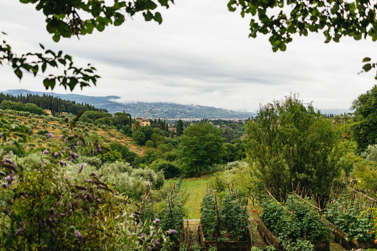 Florence: Countryside Vintage Fiat 500 Driving Tour