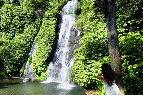 Bali: tour privato del nord di Bali con pranzo e cascataBali: tour privato del nord con pranzo e cascata