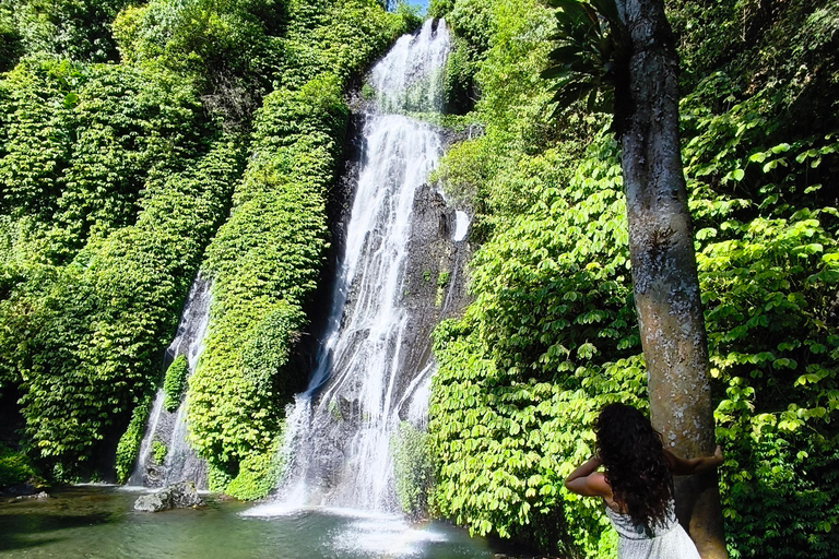 Bali: tour privato del nord di Bali con pranzo e cascataBali: tour privato del nord con pranzo e cascata