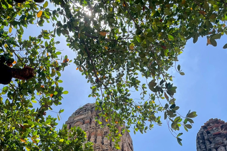 Ayutthaya Day Trip from Bangkok with German-Speaking Guide