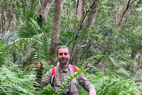 Zanzibar: Jozani Forest, Spice Farm and Stone Town City Tour Private tour no hotel pick-up and drop-off included