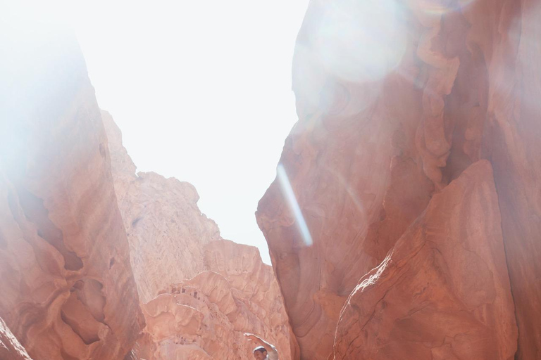 Wadi Rum: Famous place UNESCO Jeep Tour Camel Ride Option Full-Day Tour Hiking Jordan's Highest Mountain