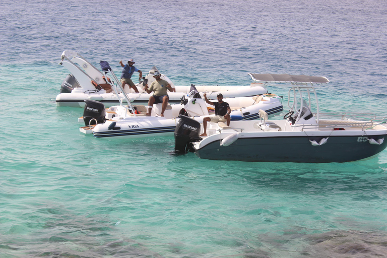 Hurghada: Lancha Rápida Privada a la Isla Paraíso con SnorkelGrupo en lancha rápida a Isla Paraíso con snorkel