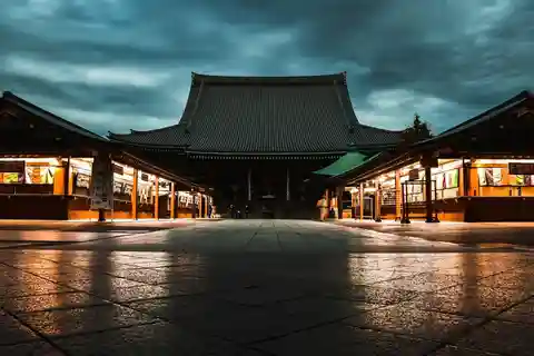 Tokyo: Tsukiji, Ginza, and Asakusa Japanese Culture Tour
