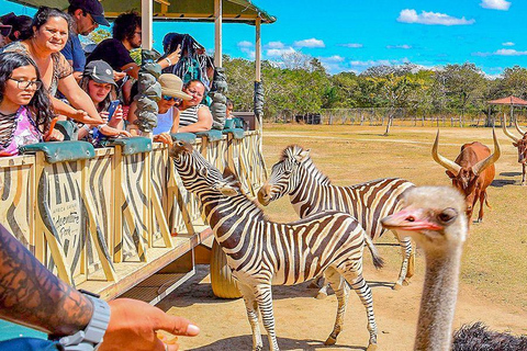 Wild Day: Animals & Adventure Safari from San Jose