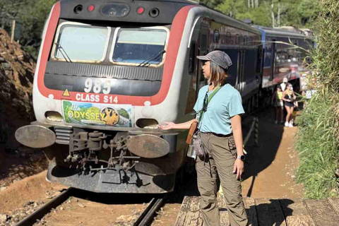 Beyond the Rails: Curated Scenic Journey from Kandy to Ella