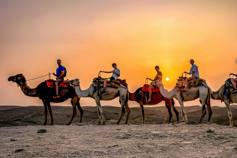 Marrakech: Agafay Desert Camel Ride with Dinner & Show