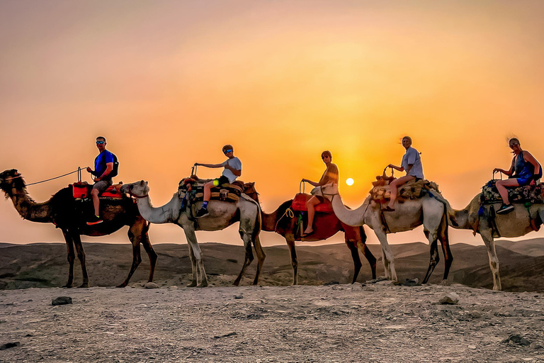 Marrakech: Agafay Desert Camel Ride with Dinner & Show