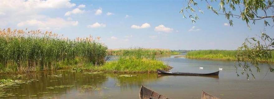 Sulina : excursion en bateau dans le village de Mila 23 dans le delta du Danube