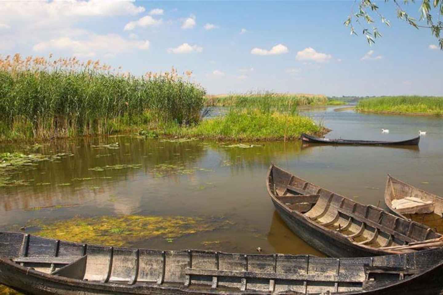 Sulina: Mila 23 Village Boat Trip in the Danube Delta