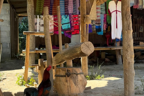 Chiang Mai: Elephant Sanctuary, Waterfall & Bamboo Rafting