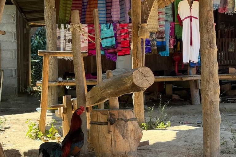 Chiang Mai: Elephant Sanctuary, Waterfall & Bamboo Rafting