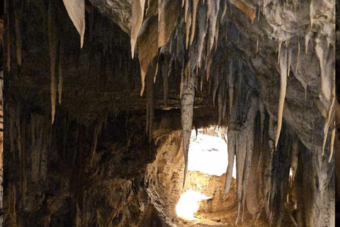 Ljubljana à la grotte de Postojna, au château de Predjama et au parc de Postojna