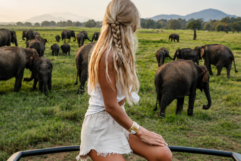 From Bentota: All Inclusive Yala National Park Jeep Safari Mirissa/Weligama/Matara/Tangalle: Yala Leopard Safari