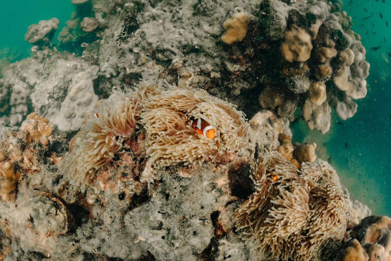 Krabi: 4 Islands by Longtail Boat with Lunch & Snorkeling