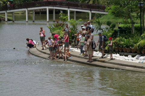 Tuk-Tuk, Longtail-boat and Rickshaw Bangkok jungle TourBangkok Half-Day Rickshaw Ride and Walking Tour