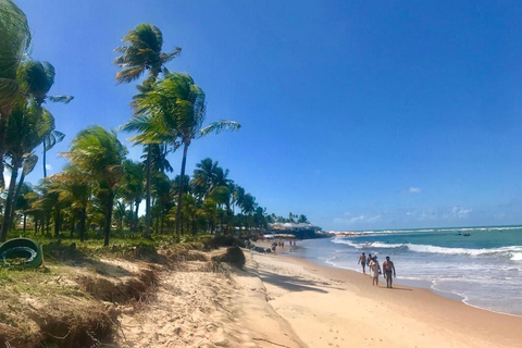From Salvador: Praia do Forte and Guarajuba Day Trip