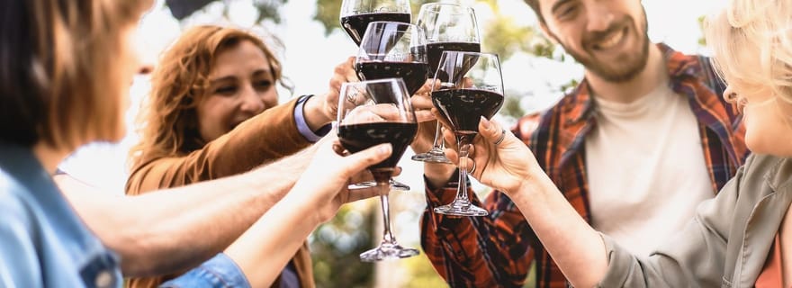 Visite d'une demi-journée des cheminées de fées de Cappadoce avec dégustation de vin