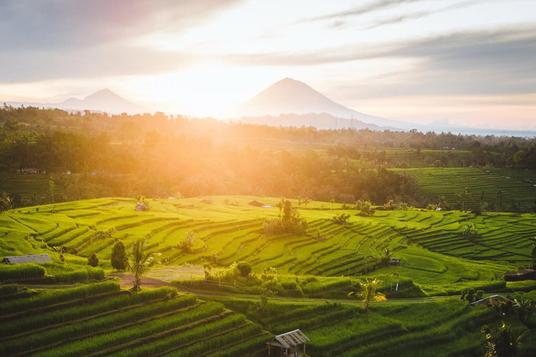 Half Day Tour UNESCO Jatiluwih, Ulun Danu & Handara Gate Without Entry tickets (Private Tour)