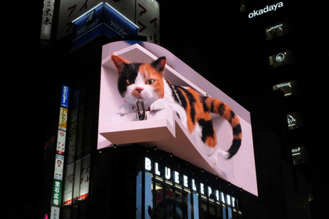 Tokyo Luxury Private City Tour Customizable with Guide