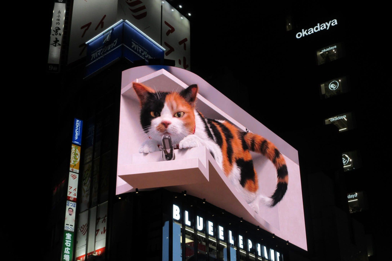 Tokyo Luxury Private City Tour Customizable with Guide