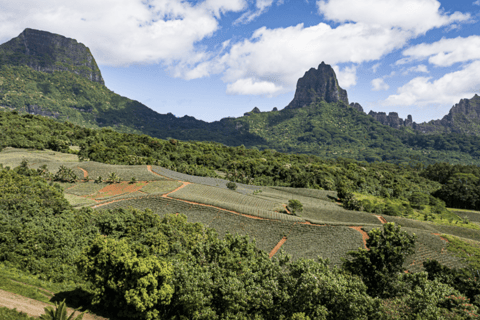 Moorea : visite panoramique en bus avec guide pour les croisiéristes