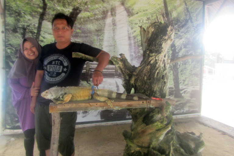 Bali: Ervaring met boot met glazen bodem naar SchildpaddeneilandBoot met glazen bodem naar Schildpaddeneiland met pick-up