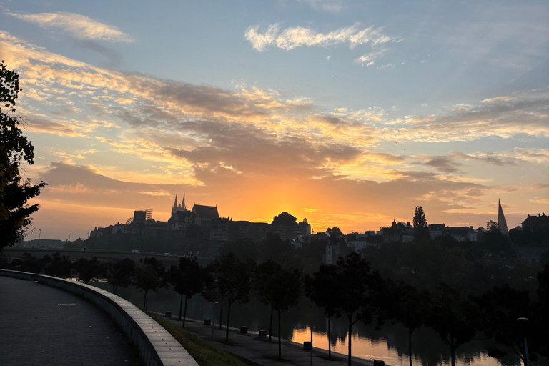 Visita al Castillo de Angers y degustación de vinos