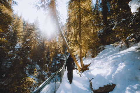 Aventure sur glace au Johnston Canyon Une expérience de paradis hivernal