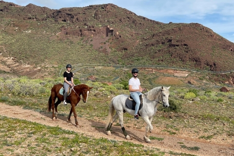 Excursión a caballo de una hora en Gran Canaria