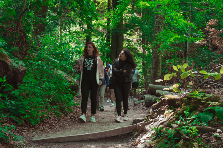 Zadar : Visite guidée des lacs de Plitvice avec billets