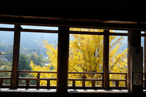 Hiroshima: UNESCO Miyajima and Atomic bomb dome Guided Tour Hiroshima: UNESCO Miyajima & Atomic Bomb Dome Guide Tour