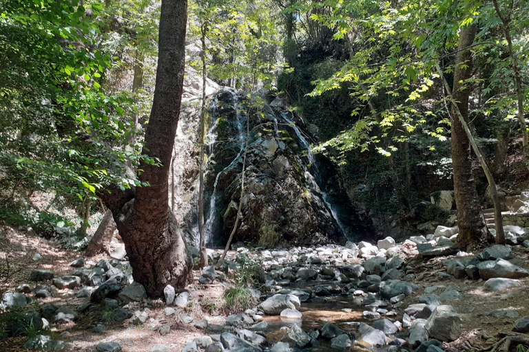 Paphos : Safari en jeep au trésor Land Rover Troodos-Kykkos