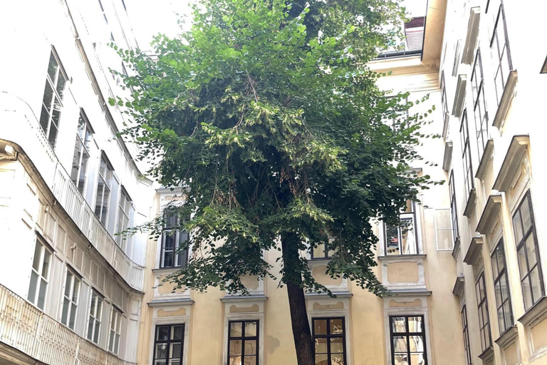 Wenen: Verborgen binnenplaatsen Rondleiding